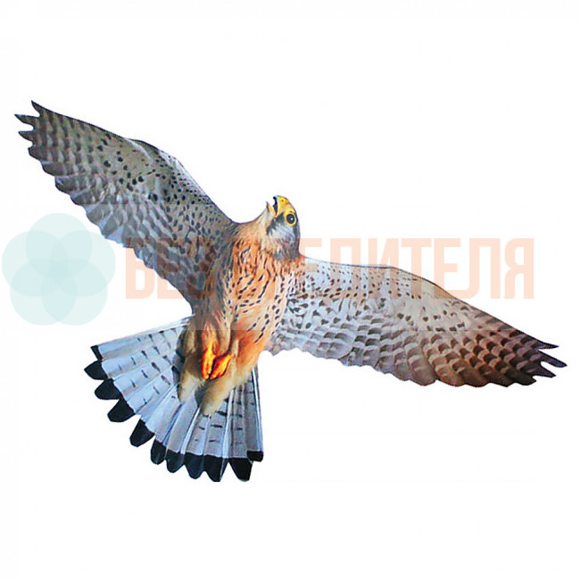 Визуальный отпугиватель птиц Хищник 3 Визуальный отпугиватель птиц Хищник 3